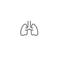 ǲ(й)Ź